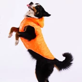 PawStar Neon Turuncu Railway Büyük Irk Yelek thumbnail 2