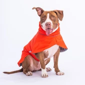PawStar Turuncu Colombia Yağmurluk - 3
