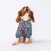 PawStar Autumna Yağmurluk Küçük ve Orta Irk - 3