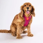 PawStar  Fucshia - Fuşya Airmesh Köpek Göğüs Tasması - 1
