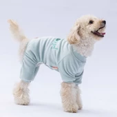 PawStar Mint Angers Tulum Küçük ve Orta Irk - 4