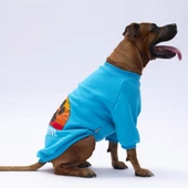 PawStar Turkuaz Carmel Büyük Irk Sweat thumbnail 1