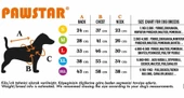 PawStar Kahverengi Tapeti Tulum Küçük ve Orta Irk - 6