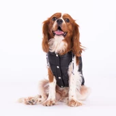 PawStar Siyah Railway Küçük ve Orta Irk Yelek - 3