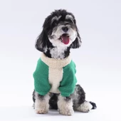 PawStar Yeşil Alaska Sweat Küçük ve Orta Irk thumbnail 2