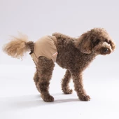 PawStar Düz Renkler 2 Çamaşır (Paket de Farklı  Renkte 3 Adet Bulunur) - 3