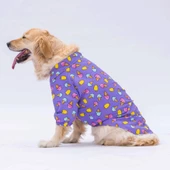 PawStar Ice Cream Büyük Irk Gömlek - 3