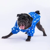 PawStar Mavi Stars Yağmurluk Küçük ve Orta Irk - 2