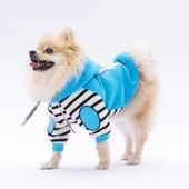 PawStar Turkuaz Lucky Club Hoodie Küçük ve Orta Irk thumbnail 2