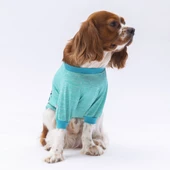 PawStar Mint Everything Will Be Okay Küçük Irk Sweat - 2