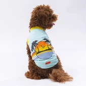 PawStar Mint Sunrise T-Shirt - 1