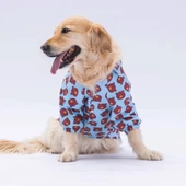 PawStar Bear Desenli Büyük Irk Gömlek - 2