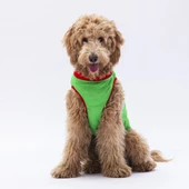 PawStar Yeşil Summer Büyük Irk T-Shirt thumbnail 2