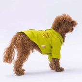 PawStar Yeşil Linen Look Gömlek thumbnail 2