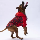 PawStar Kırmızı Dijon Büyük Irk Yağmurluk - 4