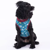 PawStar Dino T-Shirt - 1