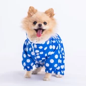 PawStar Mavi Puantiyeli Tulum Yağmurluk Küçük ve Orta Irk - 1
