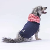 PawStar Lacivert Gingham Kapşonlu Polo T-Shirt - 1