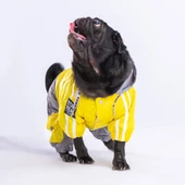 PawStar Sarı Gri Bicolor Tulum Yağmurluk Küçük ve Orta Irk - 3