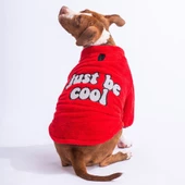 PawStar Kırmızı Just Be Cool Büyük Irk Sweat - 1