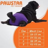 PawStar Mix Çiçekli Çamaşır (Paket de Farklı  Renk ve Desen de 3 Adet Bulunur) - 4