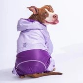 PawStar Lila Mor BiColar  Büyük Irk Yağmurluk thumbnail 1