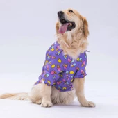 PawStar Ice Cream Büyük Irk Gömlek - 2