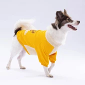 PawStar Sarı Alaska Sweat Küçük ve Orta Irk - 4