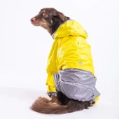 PawStar Sarı-Gri  BiColar  Büyük Irk Yağmurluk - 1