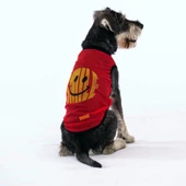 PawStar Smile Mesh T-Shirt - 1