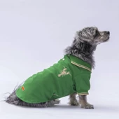 PawStar Yeşil Marine Polo Yaka T-Shirt thumbnail 1