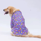 PawStar Ice Cream Büyük Irk Gömlek - 1