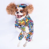 PawStar PopArt Tulum Yağmurluk Küçük ve Orta Irk - 2