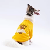 PawStar Sarı Alaska Sweat Küçük ve Orta Irk - 1