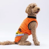 PawStar Turuncu Sunrise Büyük Irk T-Shirt - 2