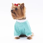 PawStar Mint Fun Day Küçük Irk Sweat - 3