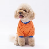 PawStar Turuncu Everything Will Be Okay Küçük Irk Sweat thumbnail 2