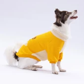 PawStar Sarı Alaska Sweat Küçük ve Orta Irk - 3