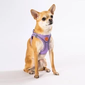 PawStar Lilac Airmesh Köpek Göğüs Tasması - 1