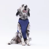 PawStar Lacivert Travel Büyük Irk T-Shirt - 3