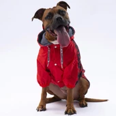 PawStar Kırmızı Dijon Büyük Irk Yağmurluk - 2