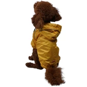 PawStar Sarı Pluvia Küçük ve Orta Irk Yağmurluk - 1
