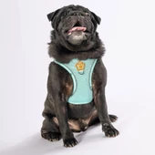 PawStar Mint Airmesh Köpek Göğüs Tasması thumbnail 1