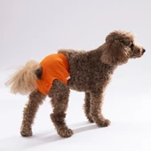 PawStar Düz Renkler 1 Çamaşır (Paket de Farklı  Renkte 3 Adet Bulunur) thumbnail 4