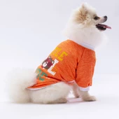 PawStar Turuncu Dude Küçük Irk Sweat - 3