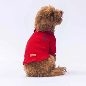 PawStar Kırmızı Marine Polo Yaka T-Shirt - 1