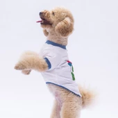 PawStar Happy Birthday Sweat thumbnail 3