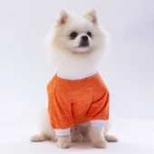 PawStar Turuncu Dude Küçük Irk Sweat - 2