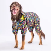 PawStar Plumis  Büyük Irk Yağmurluk - 2