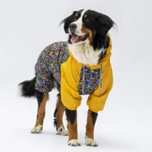 PawStar Ferrara Büyük Irk Tulum Yağmurluk thumbnail 2